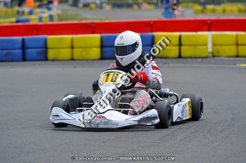 DSC_ (1551).jpg